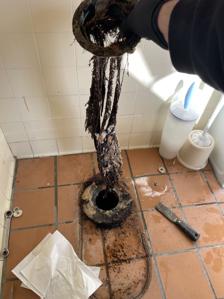 Massive tree root intrusion removed from Escondido sewer line